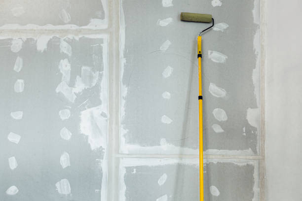 Best Basement Mold Removal  in Locust Grove, OK