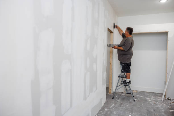 Best Environmental Consulting for Mold Prevention  in Locust Grove, OK