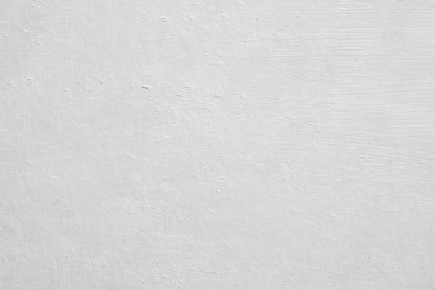 Best Mold Prevention Services  in Locust Grove, OK