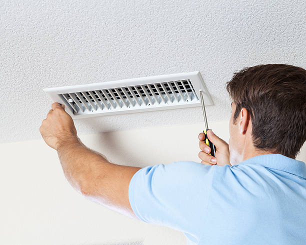 Best Mold Damage Restoration  in Locust Grove, OK
