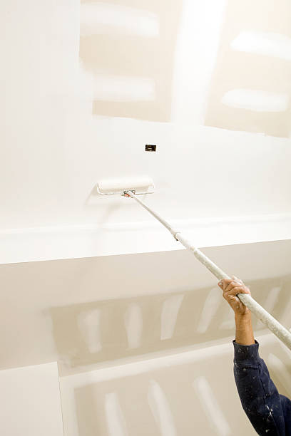 Trusted Locust Grove, OK Mold Removal Experts