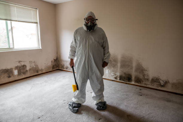 Best HVAC Mold Inspection and Cleaning  in Locust Grove, OK