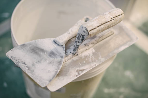 Best Mold Removal for HVAC Installations  in Locust Grove, OK