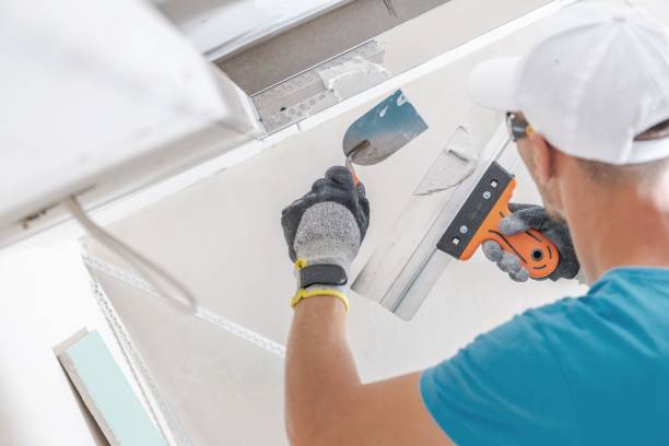 Mold Odor Removal Services in Locust Grove, OK